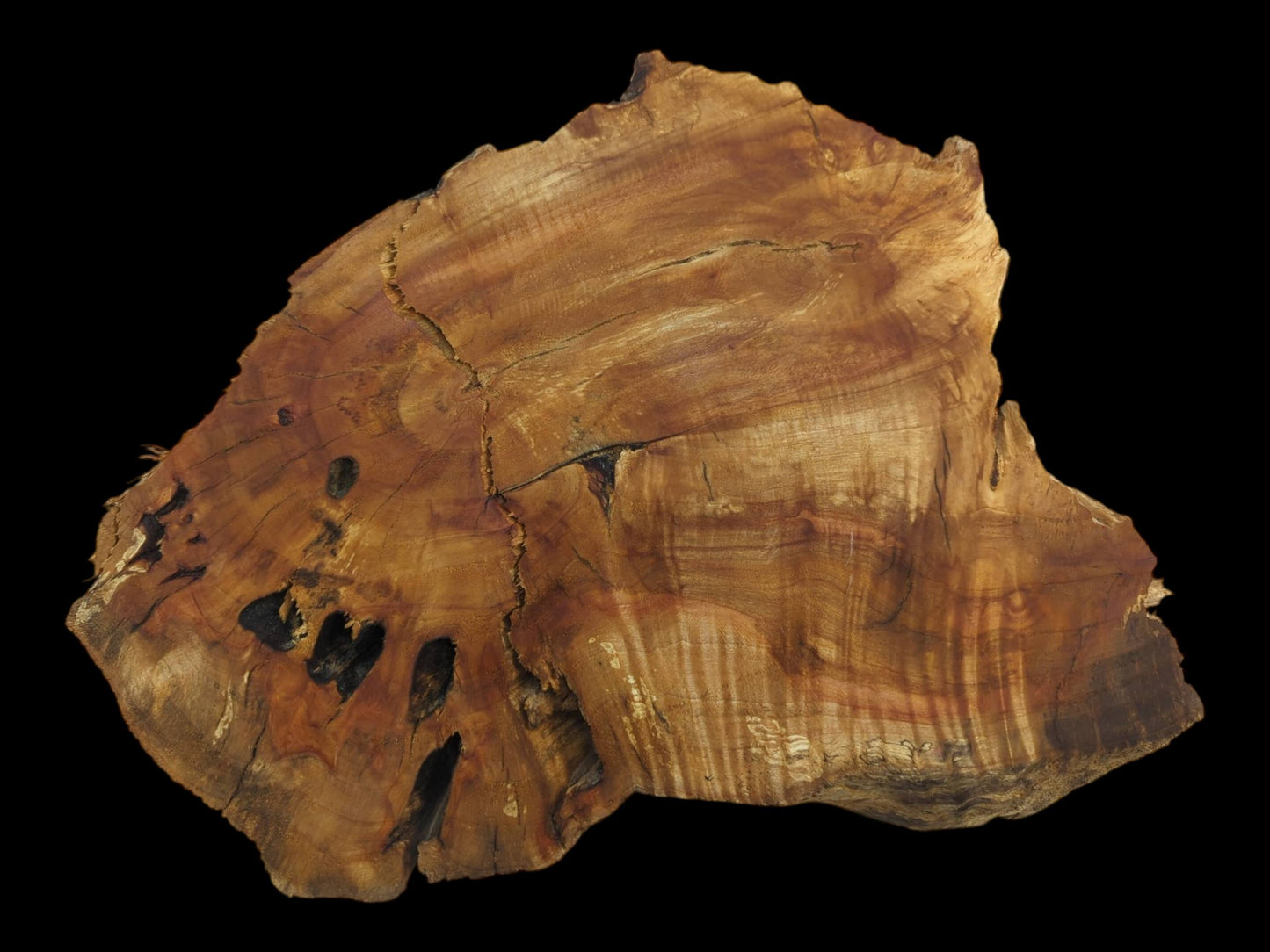 A weeping willow wood slab with a live edge, natural cracks, and dark holes.