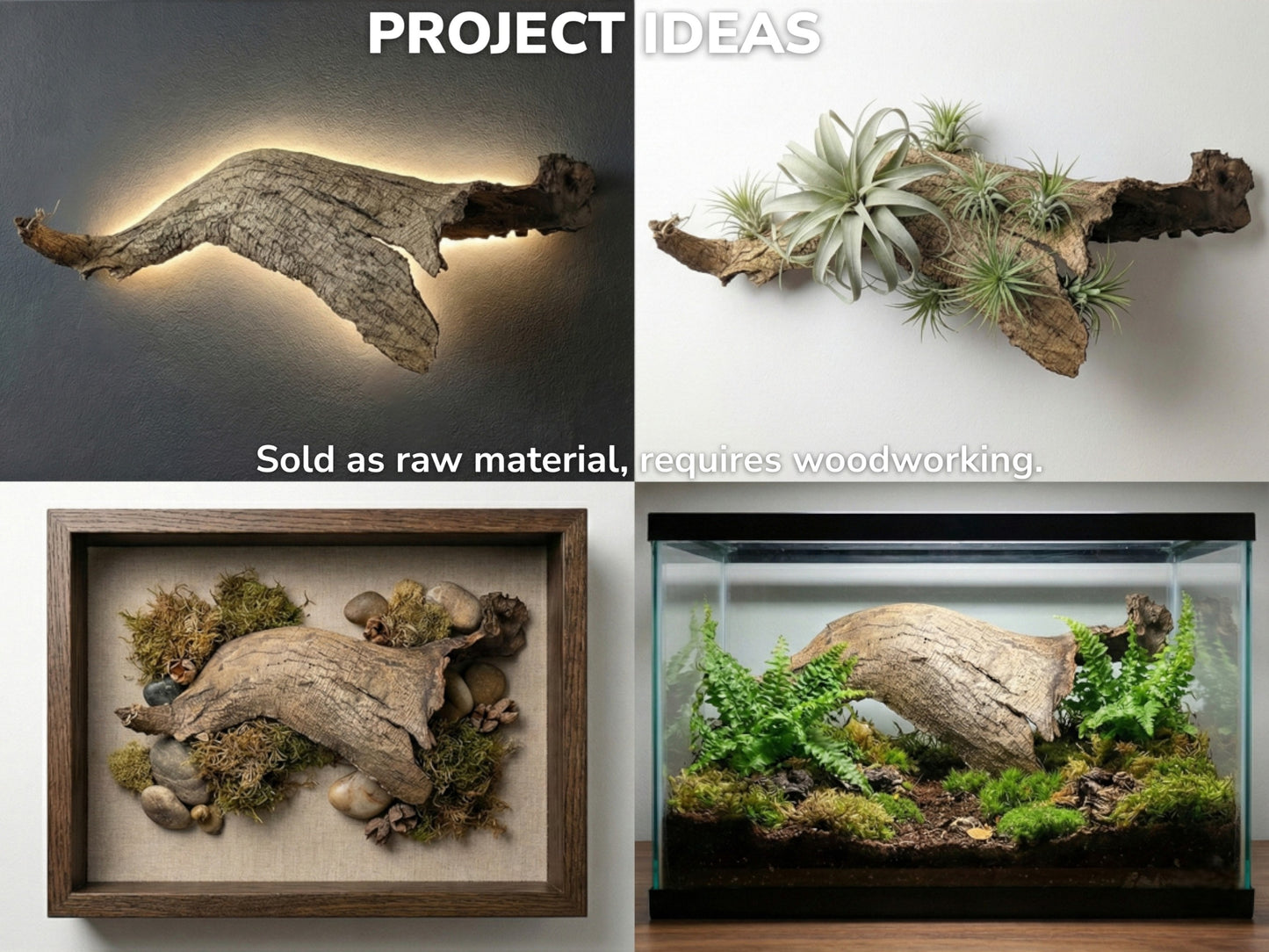 Collage showing curved wood bark used for backlit wall art, plant display, shadow box, and terrarium.