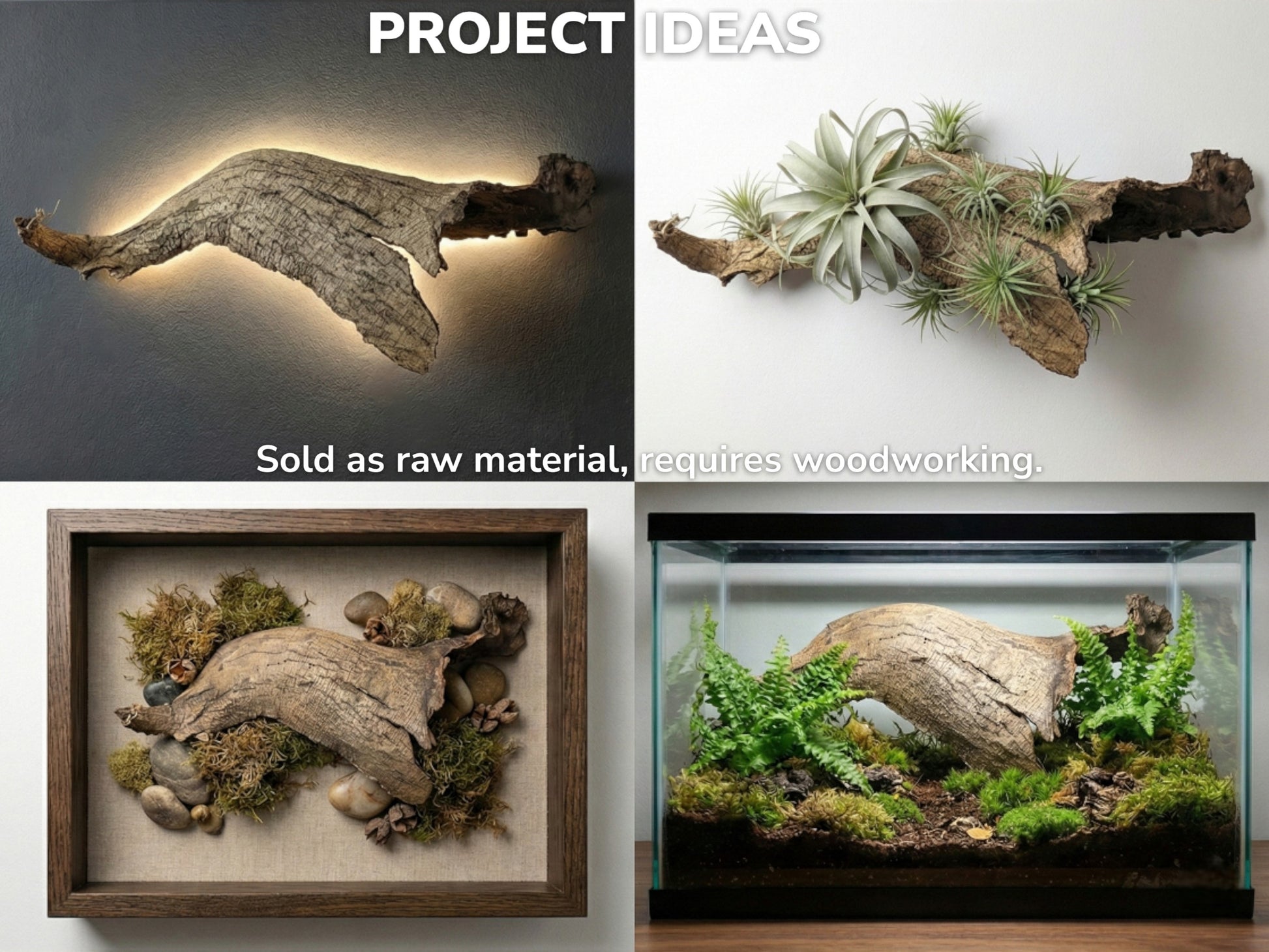 Collage showing curved wood bark used for backlit wall art, plant display, shadow box, and terrarium.