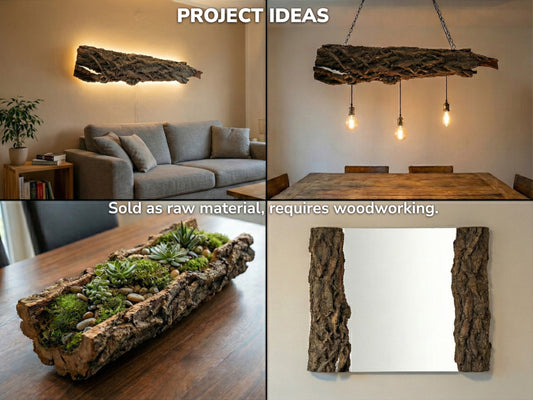 Collage displaying wood bark projects: wall sconce, pendant light, succulent planter, and mirror frame with text.