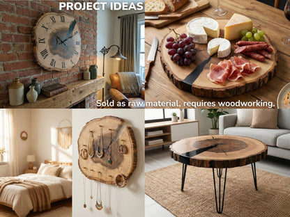 Collage with 'PROJECT IDEAS' text showcasing various wood slice projects. Includes raw material and woodworking disclaimer.