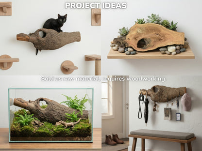 A collage shows a hollow log used as a cat perch, planter, terrarium, and rack.