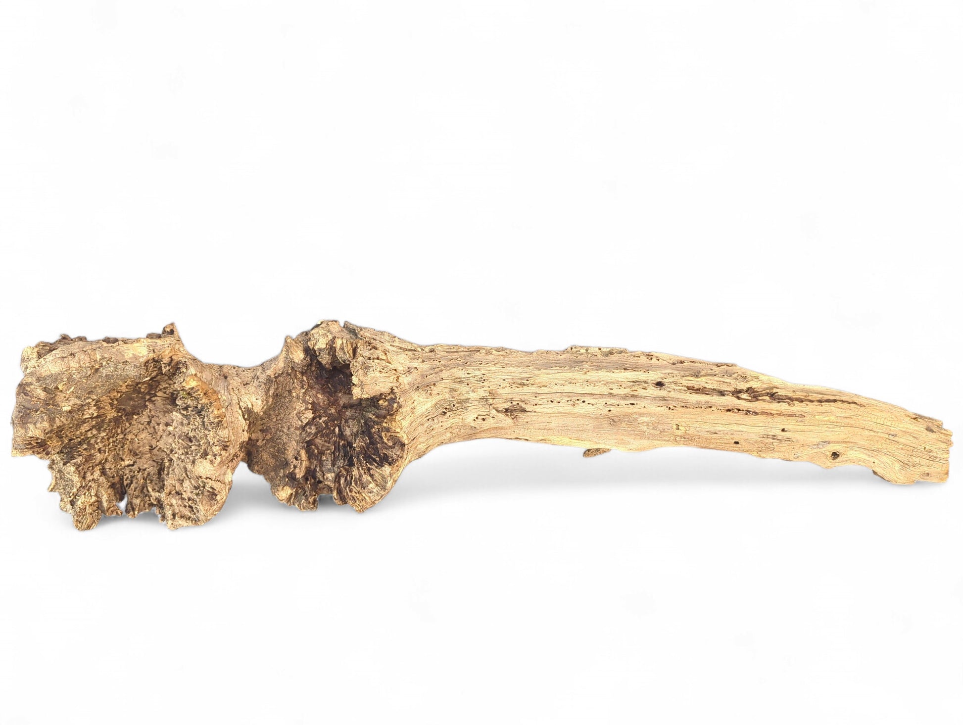 Gnarled, golden-brown driftwood branch, weathered with rough texture and intricate patterns, displayed on a white background.
