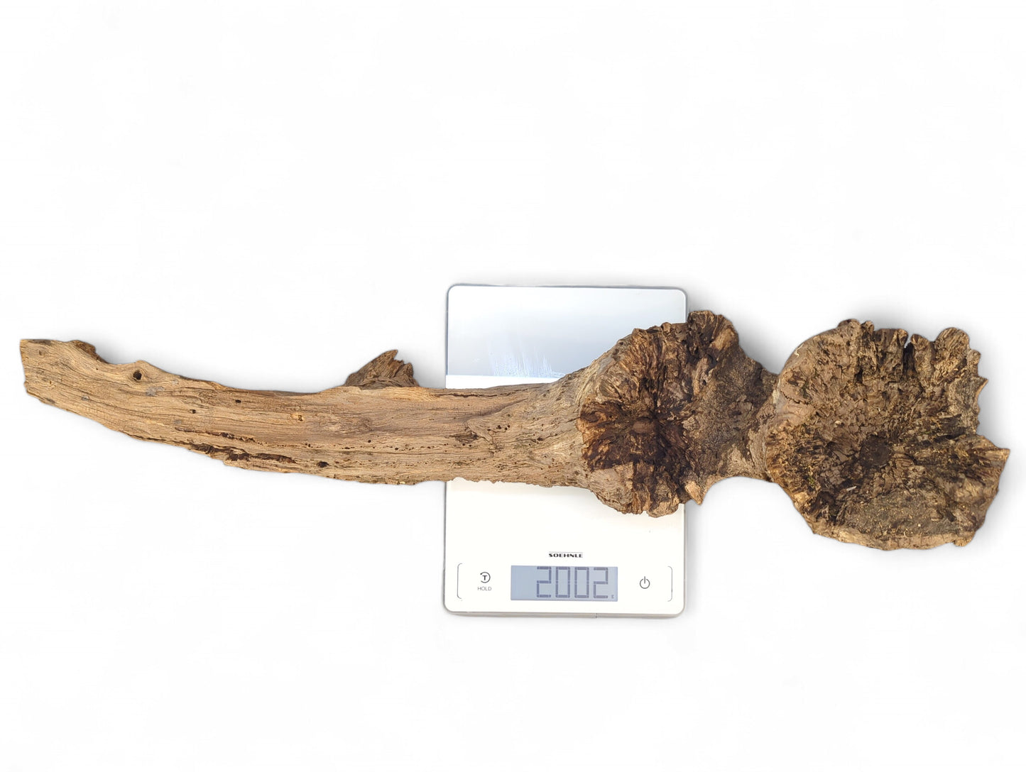 Weathered, gnarled light brown driftwood with burl-like sections, lying on a white digital scale showing 2002.