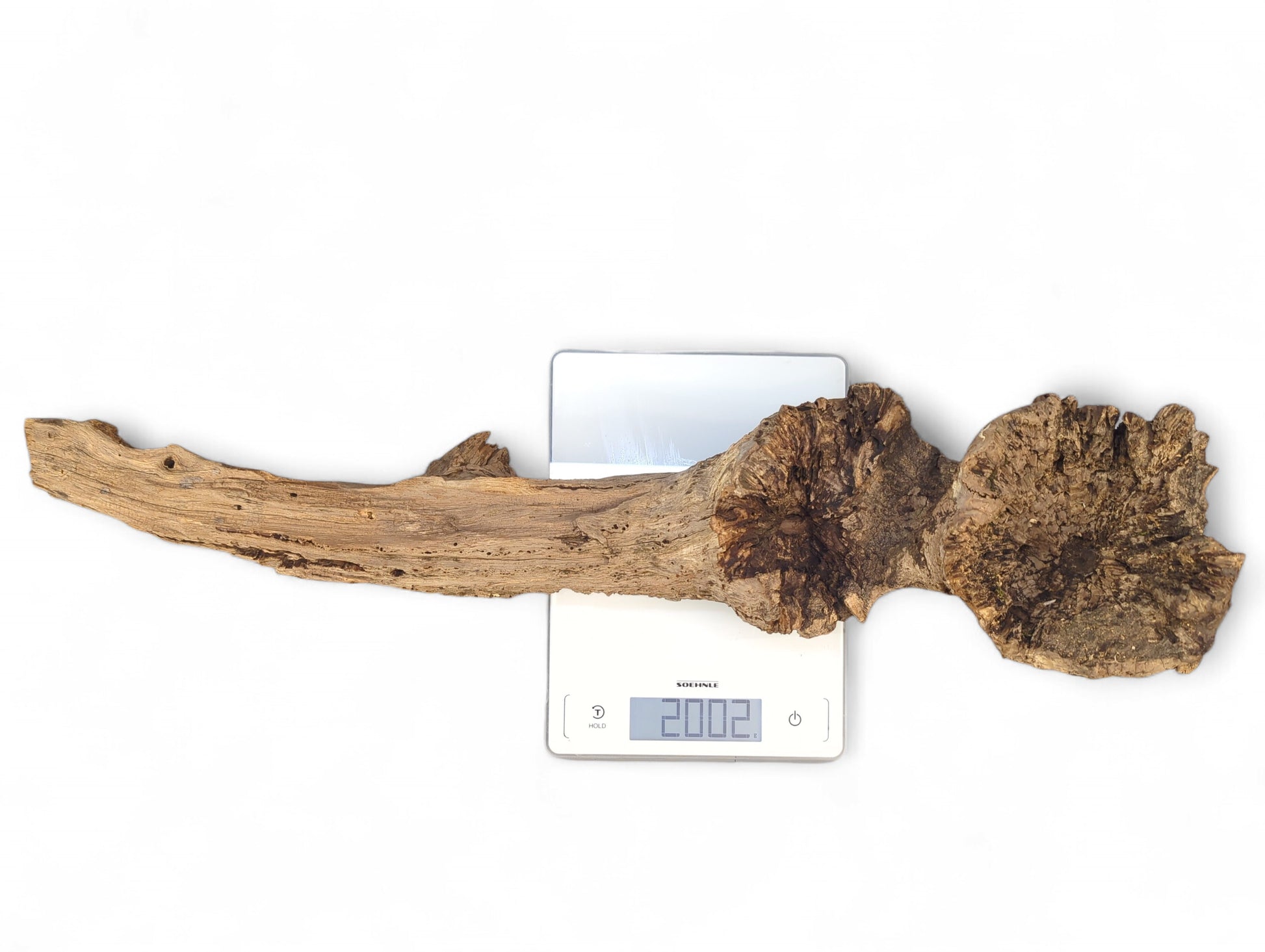 Weathered, gnarled light brown driftwood with burl-like sections, lying on a white digital scale showing 2002.