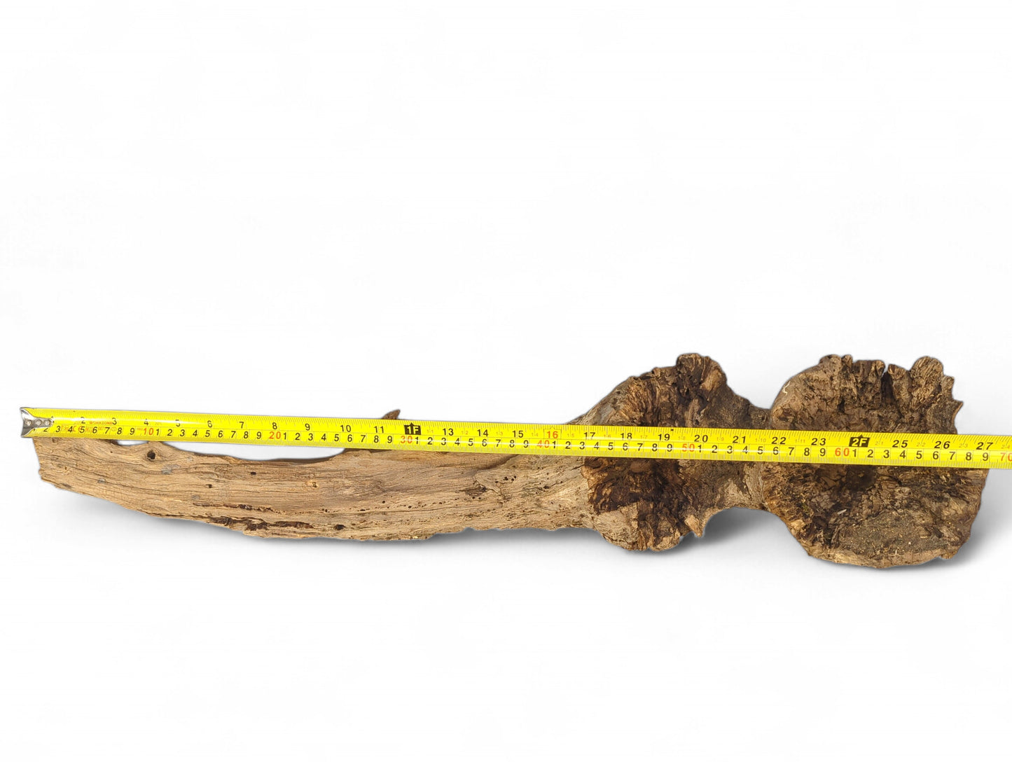 Elongated, weathered wood piece, displaying gnarled texture and varying brown colors, measured by a yellow tape.