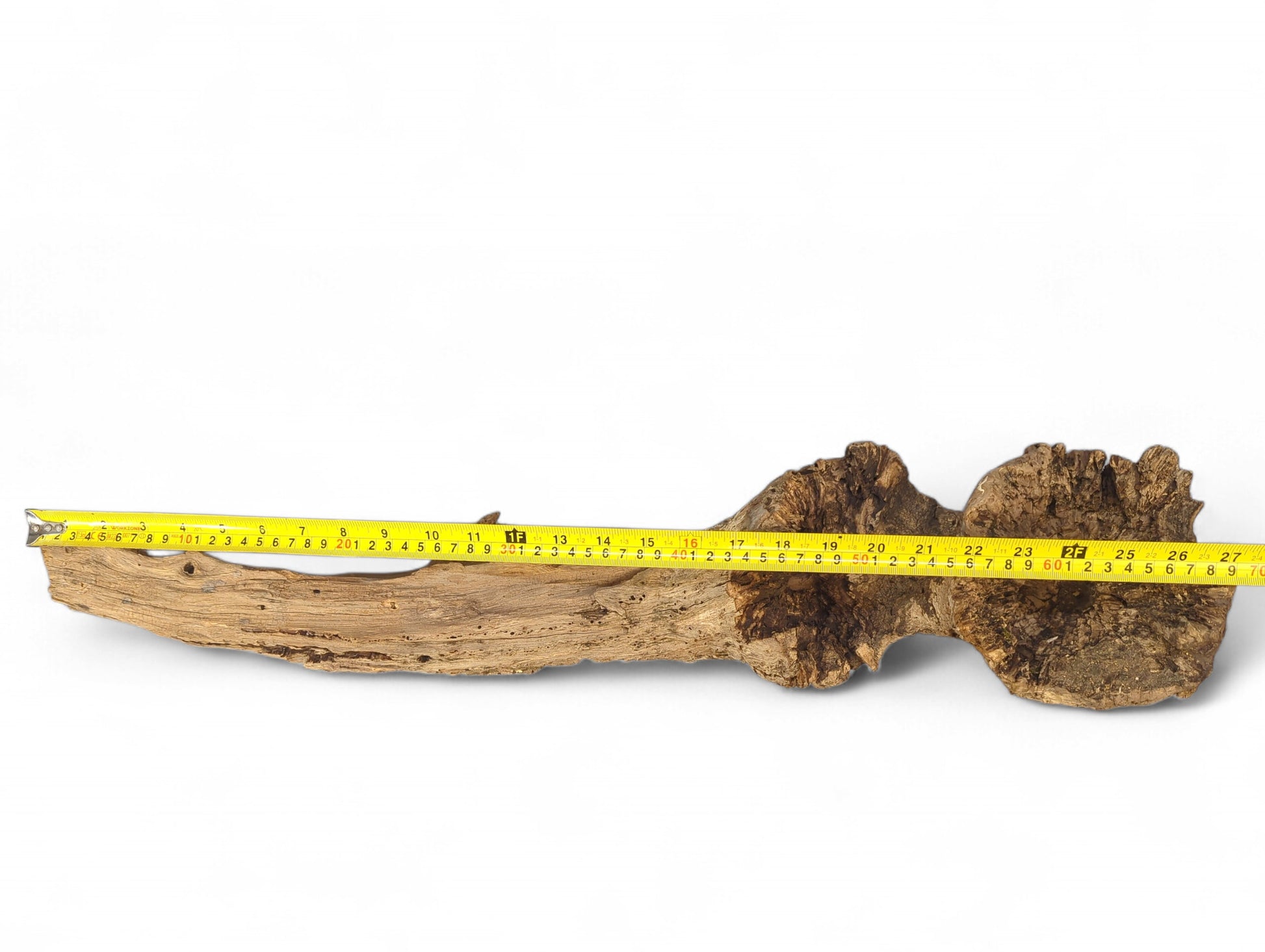 Elongated, weathered wood piece, displaying gnarled texture and varying brown colors, measured by a yellow tape.