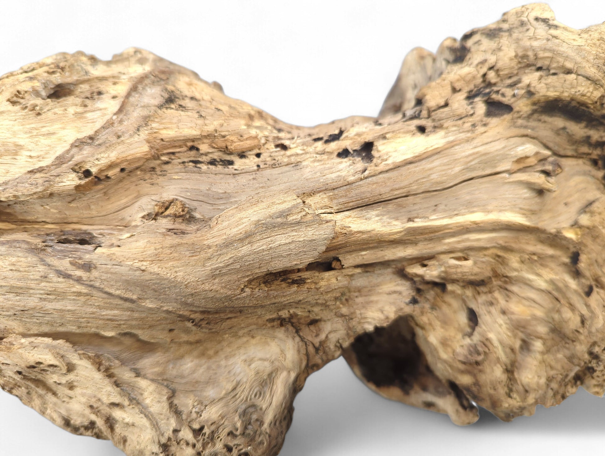An irregular light brown driftwood piece with gnarled surface, rough textures, cracks, and dark holes on white.