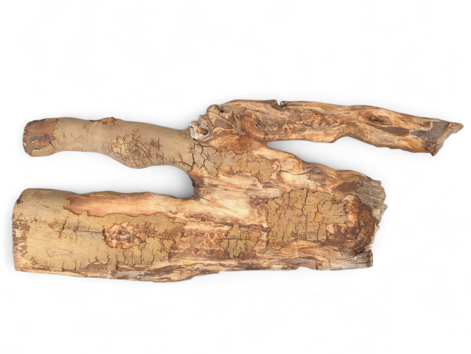 An irregular, elongated piece of weathered wood showing varying brown colors and deeply cracked bark texture.