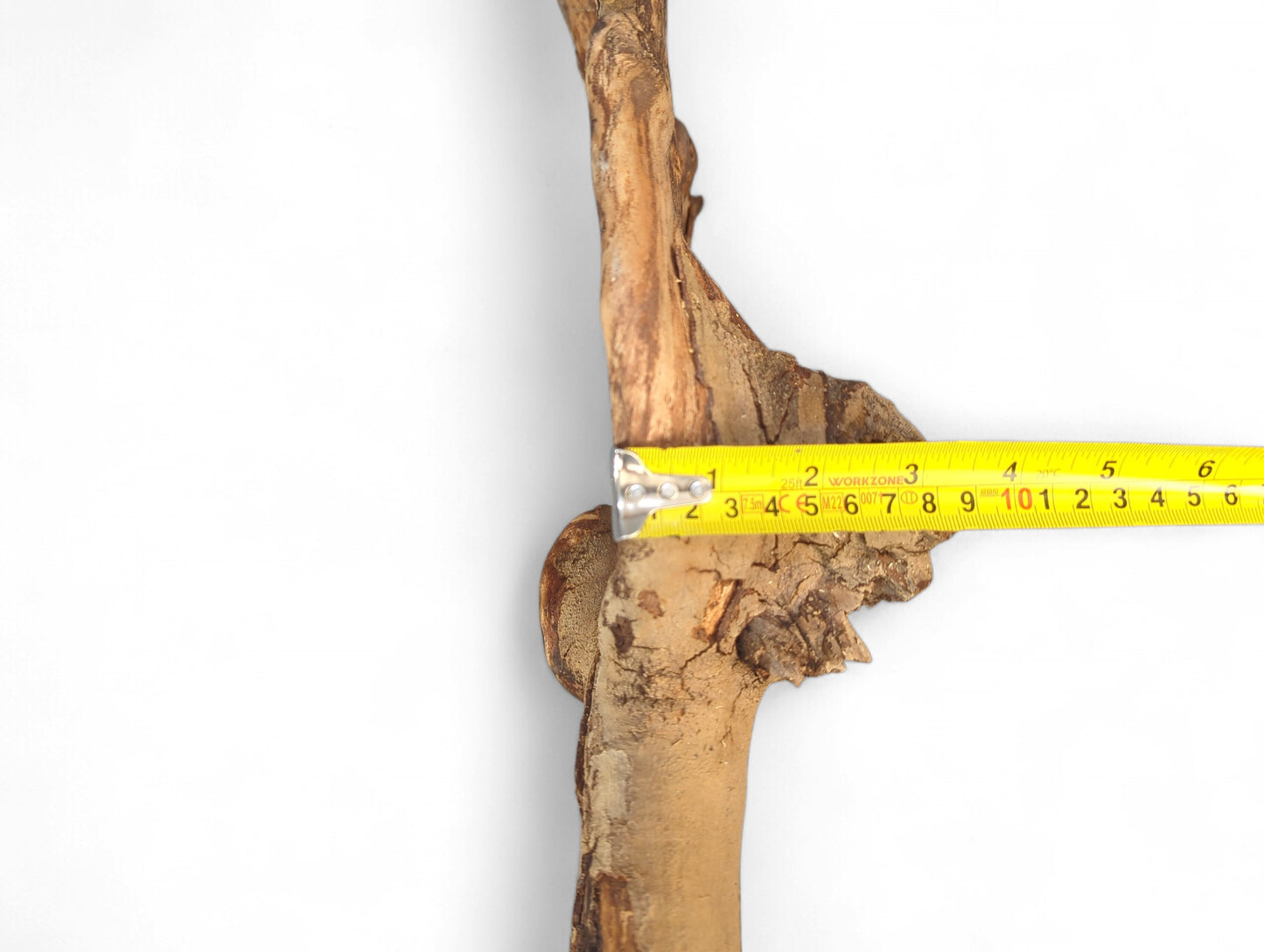 Yellow measuring tape horizontally spans a rough, pale brown driftwood branch with a fissured surface.