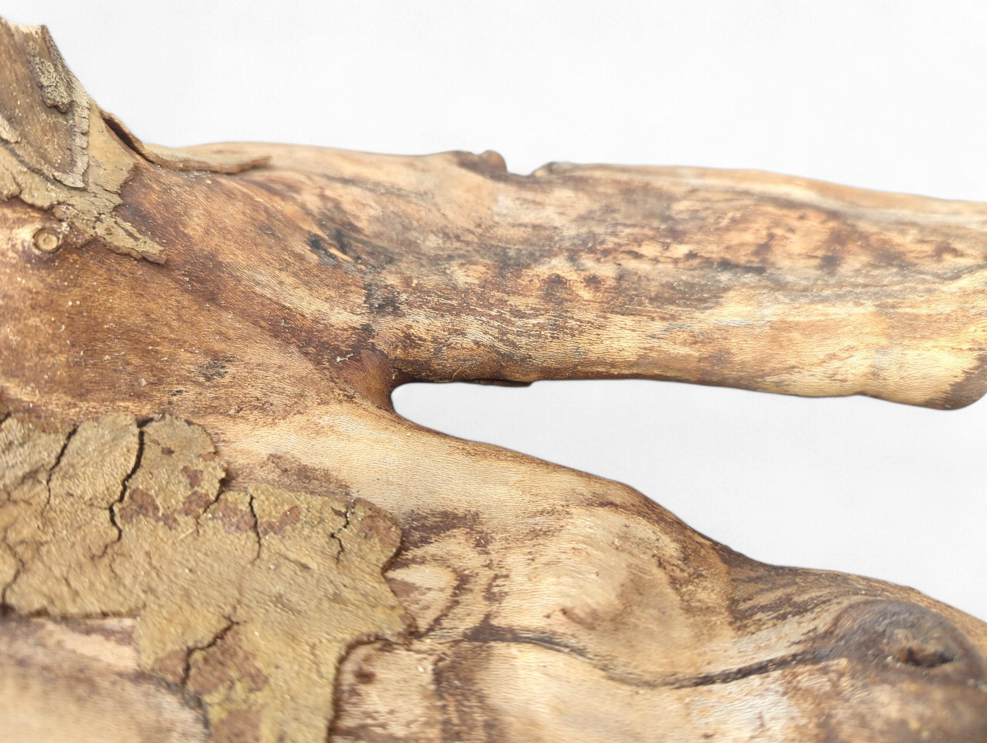 Section of weathered light brown driftwood, showing a fissured surface, deep cracks, and dark wood grain.