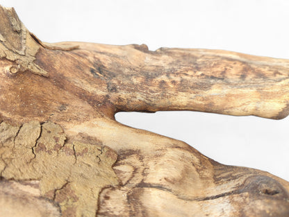 Section of weathered light brown driftwood, showing a fissured surface, deep cracks, and dark wood grain.