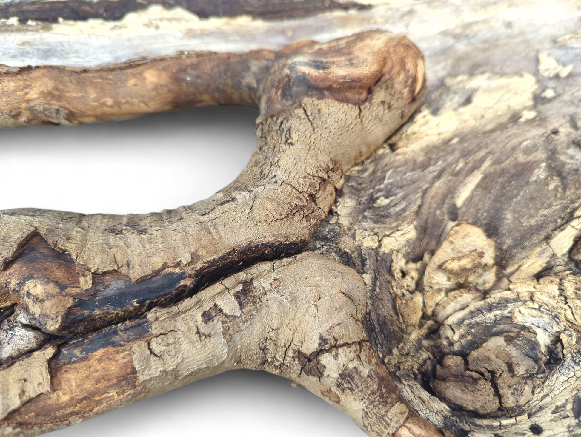 Weathered light brown wood with deep cracks, dark crevices, and a curving, gnarled branch section.
