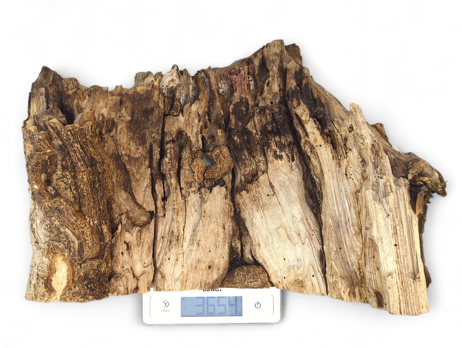 Rough, weathered wood slab, dark brown and tan, resting on a digital scale showing 3654.