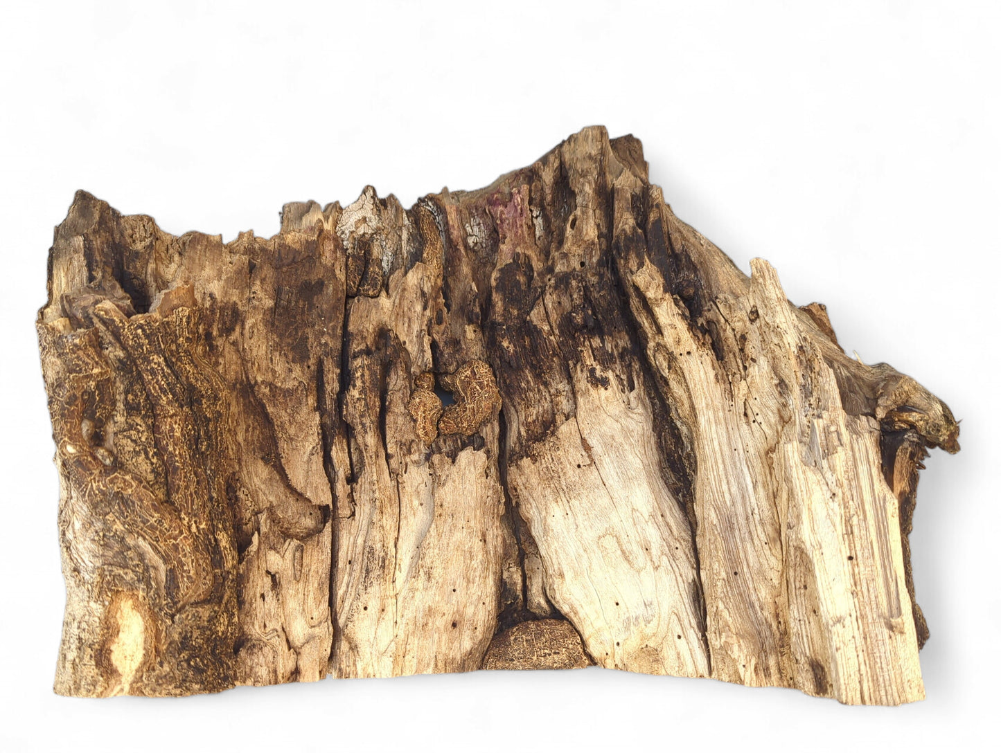 Irregularly shaped, weathered, untreated wood slab exhibiting dark bark and light, grooved wood textures.