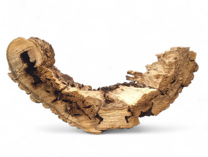 Gnarled, untreated wood piece in a crescent shape, displaying rough bark and deeply grooved wood grain.