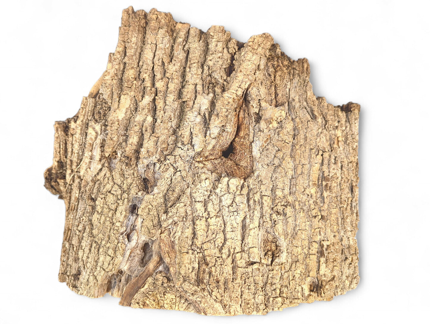 A natural, light brown wood slab exhibiting deeply fissured, rough bark texture and an irregular shape.