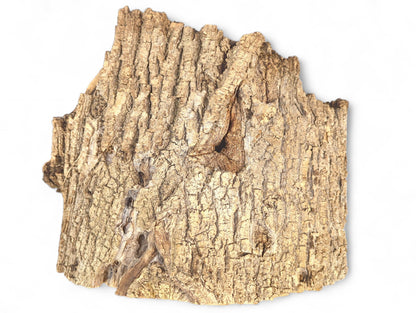 A natural, light brown wood slab exhibiting deeply fissured, rough bark texture and an irregular shape.