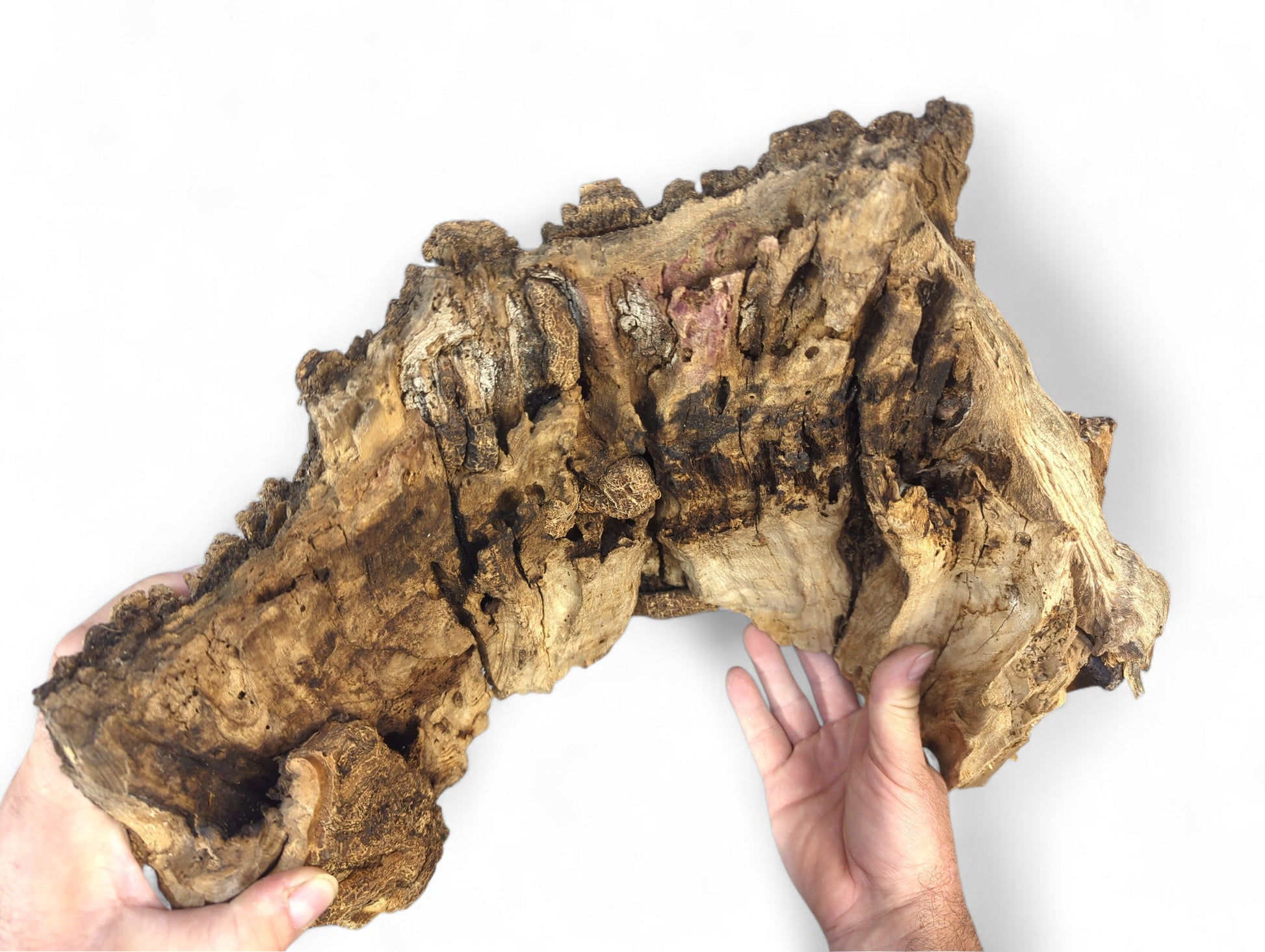 Two hands hold a large, gnarled untreated wood piece, displaying dark bark and lighter, deeply textured surfaces.