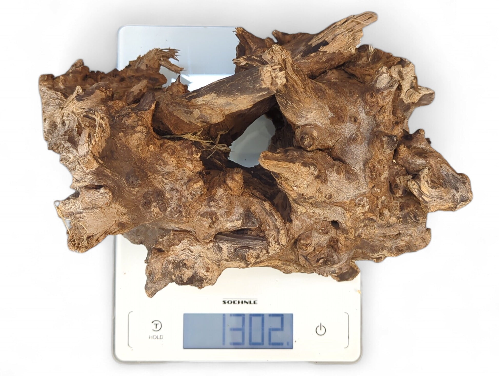 Textured brown driftwood with prominent burls and knots sits on a white digital scale showing 1302.