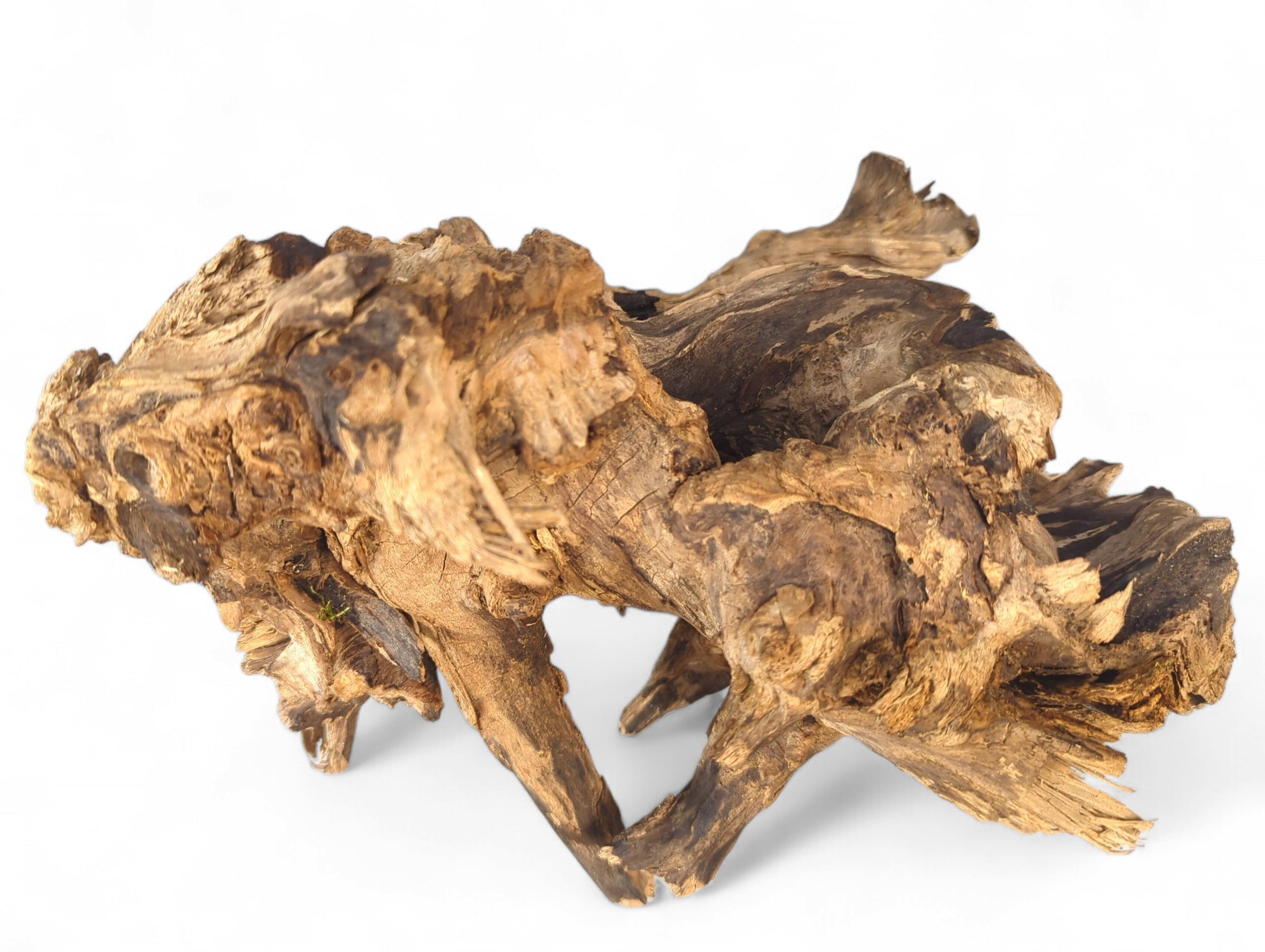 Weathered brown driftwood root with a highly gnarled, irregular shape and visible fibrous texture.
