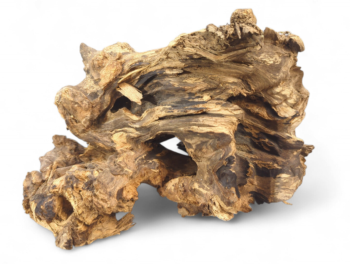 Highly gnarled, dark and light brown driftwood root showing weathered fibrous textures and knots.