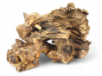 Highly gnarled, dark and light brown driftwood root showing weathered fibrous textures and knots.