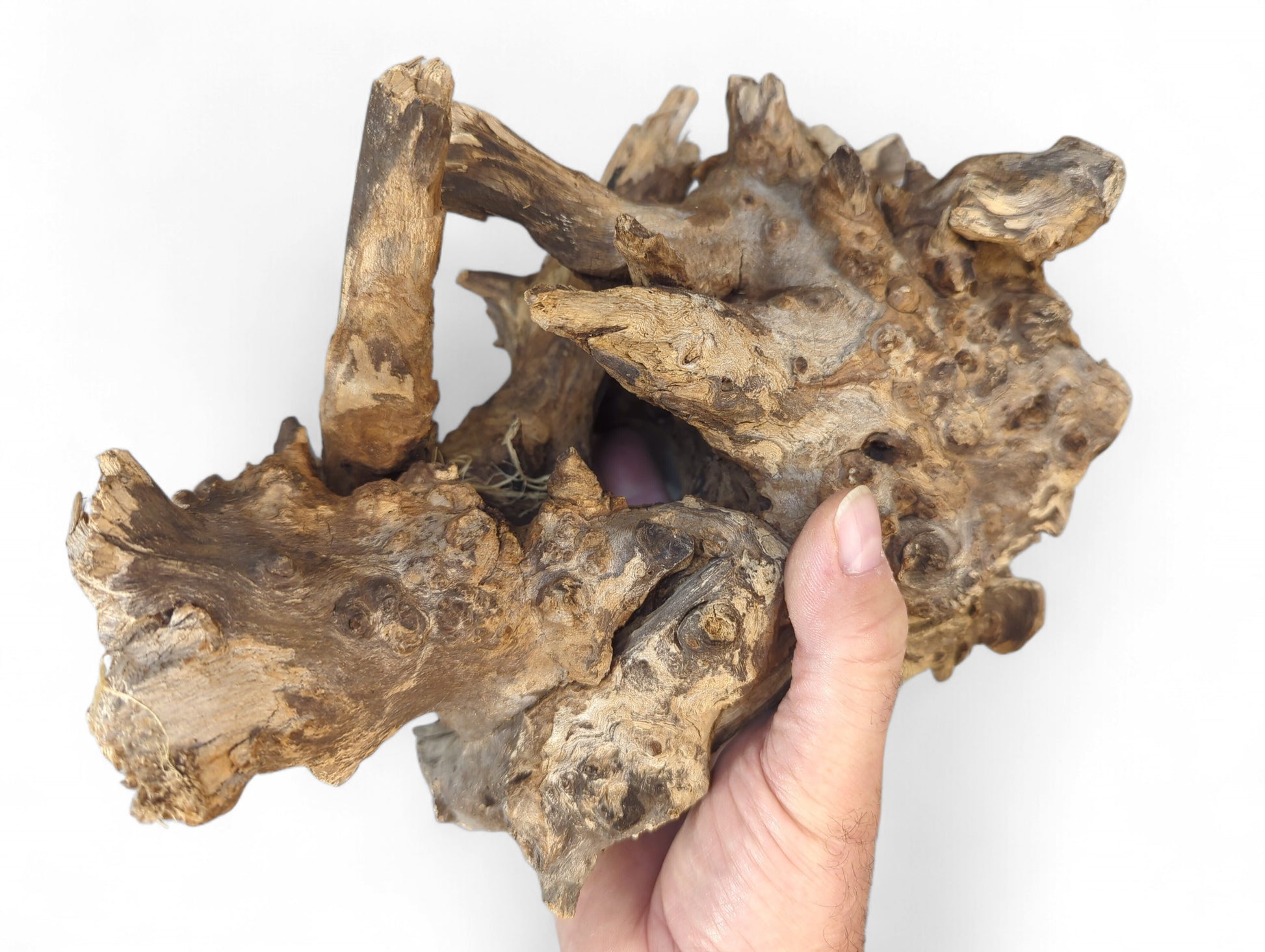 A hand holds a deeply textured, brown driftwood piece featuring multiple knots and intricate natural patterns.
