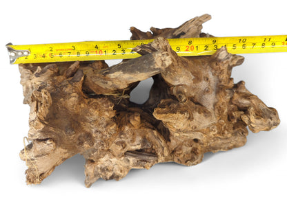 Weathered, gnarled light and dark brown driftwood root with a yellow measuring tape indicating its length.
