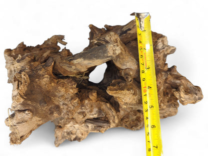 A brown, highly textured driftwood root with an irregular shape and a visible yellow measuring tape.