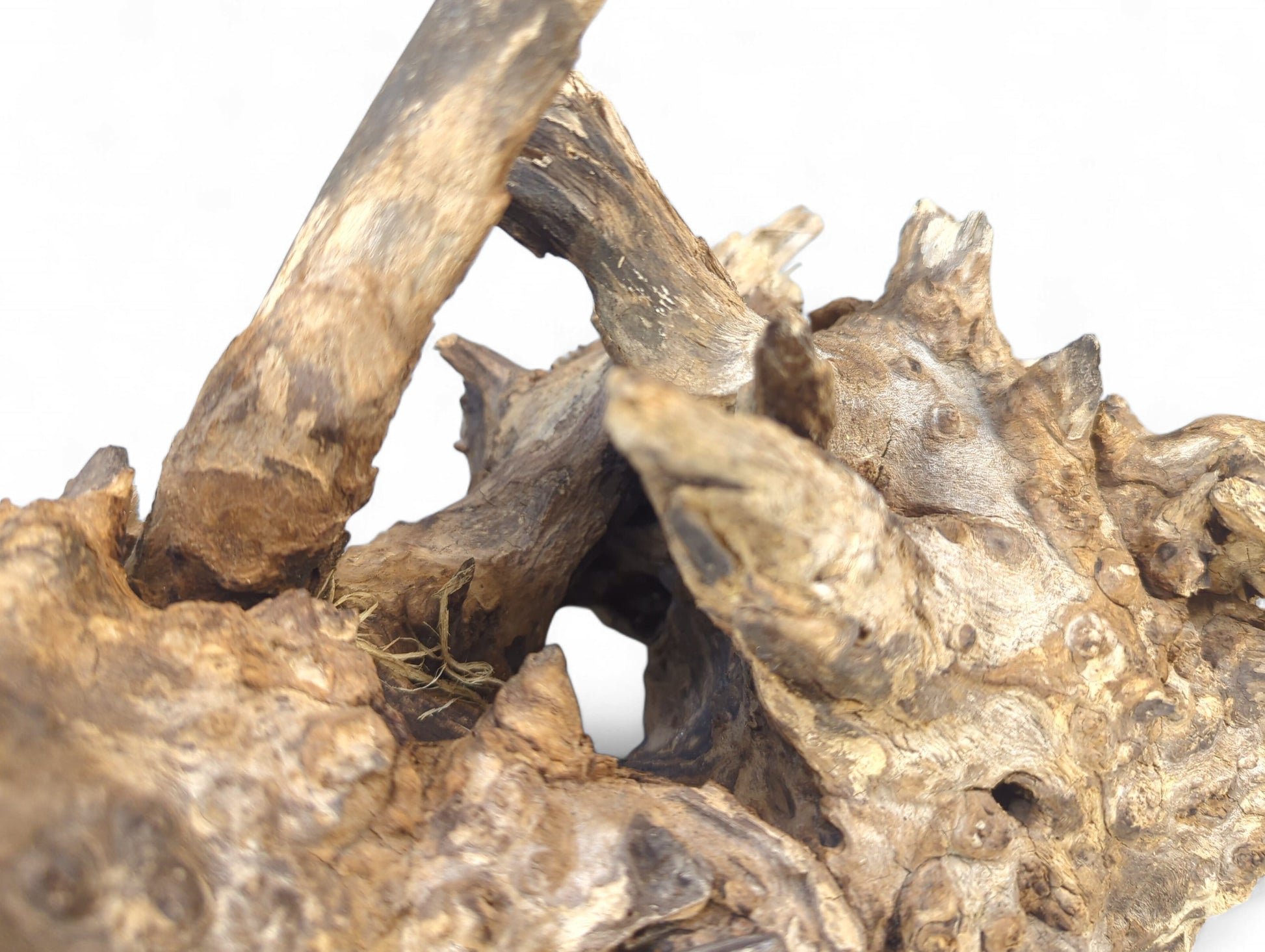 Irregularly shaped, weathered light and dark brown driftwood with gnarled textures, multiple branches, and visible fibers.
