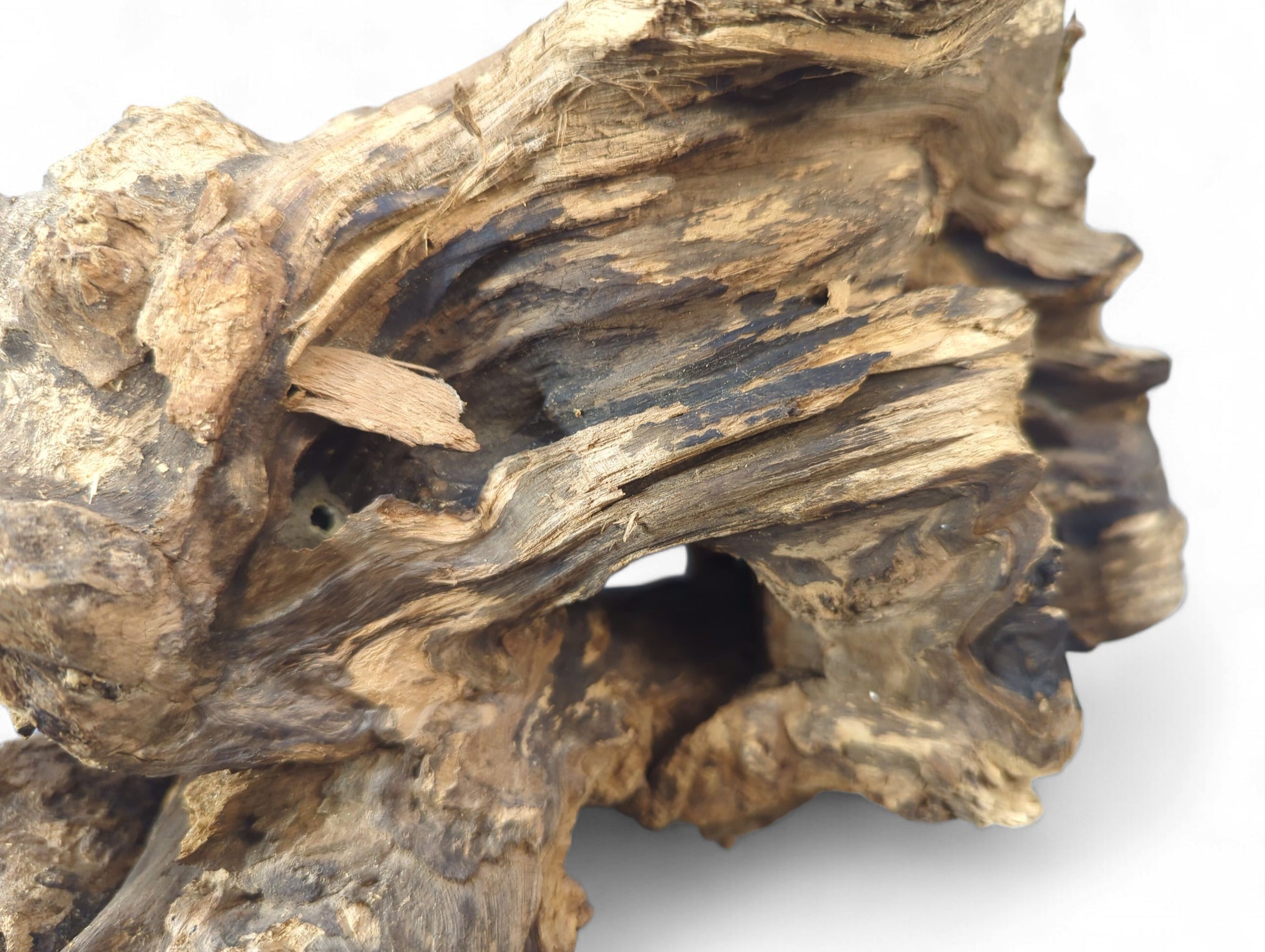 Gnarled, knotted dark and light brown driftwood root featuring deep fibrous textures and a visible hole.