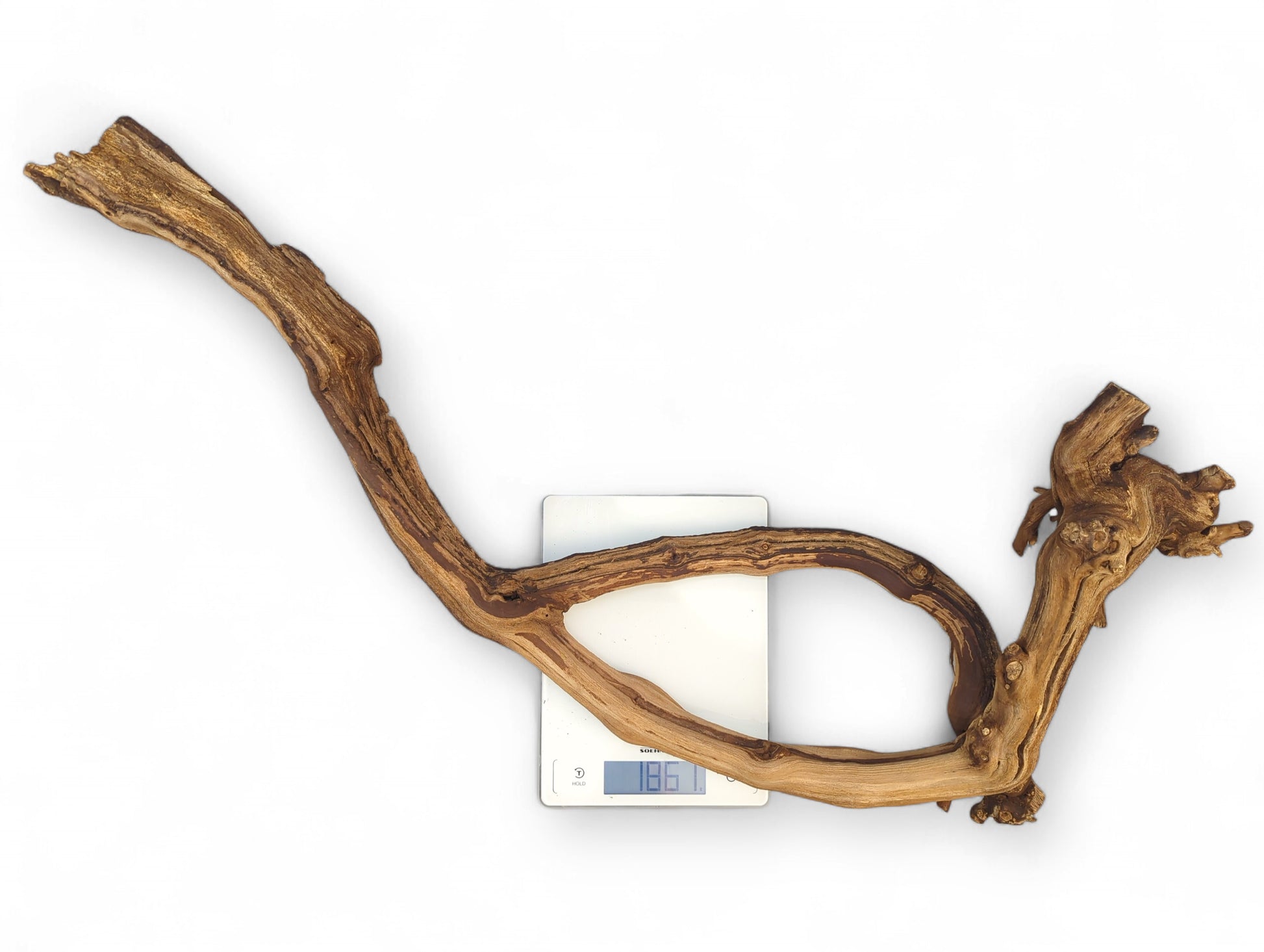 Gnarled, brown and tan grapevine driftwood rests on a white digital scale showing 186.1g.