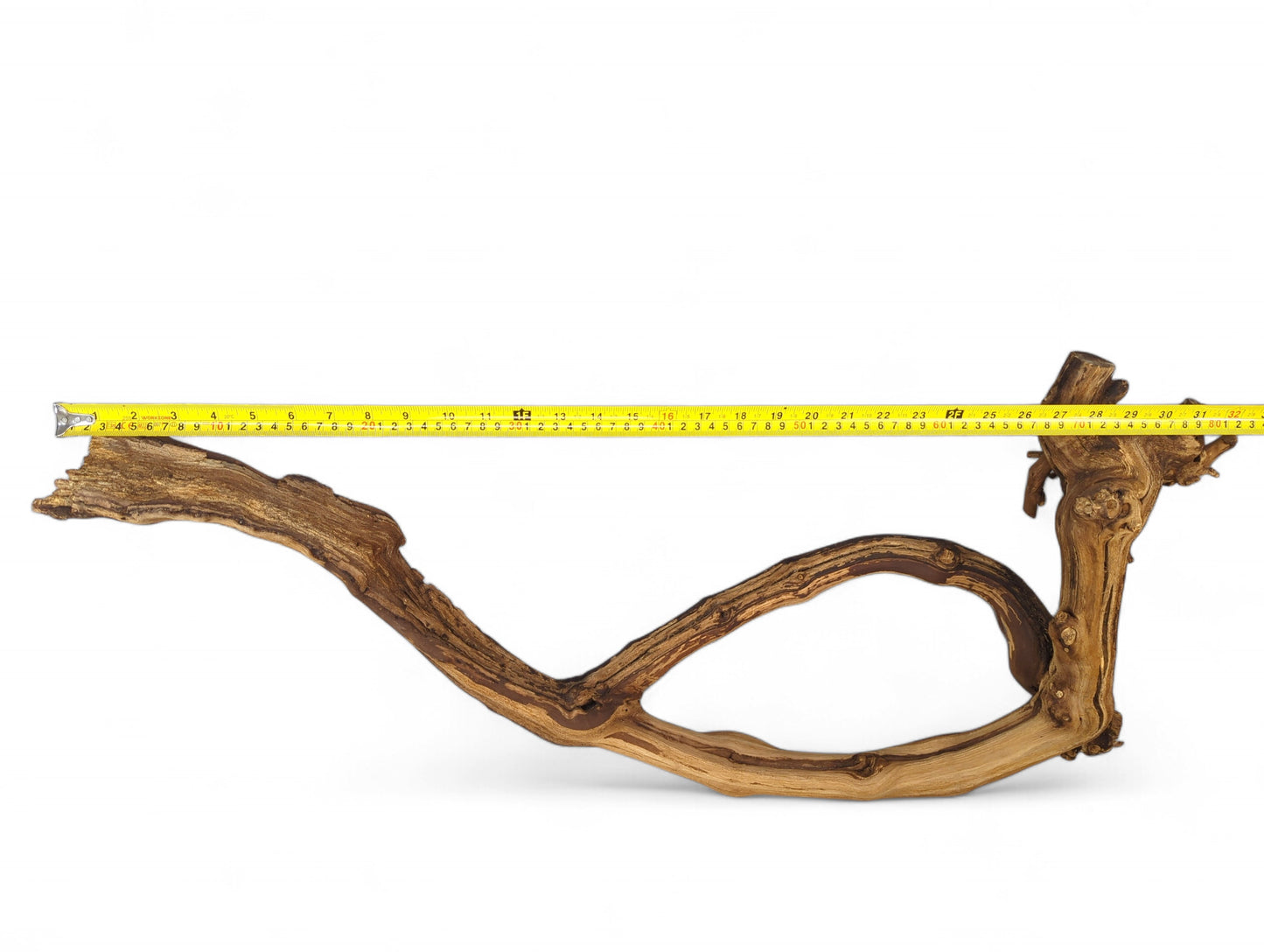 Yellow measuring tape spans across a gnarled, curved grapevine driftwood piece with brown and tan hues.