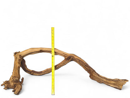 Curved, gnarled grapevine driftwood piece with varied brown and tan tones, shown with a yellow measuring tape.