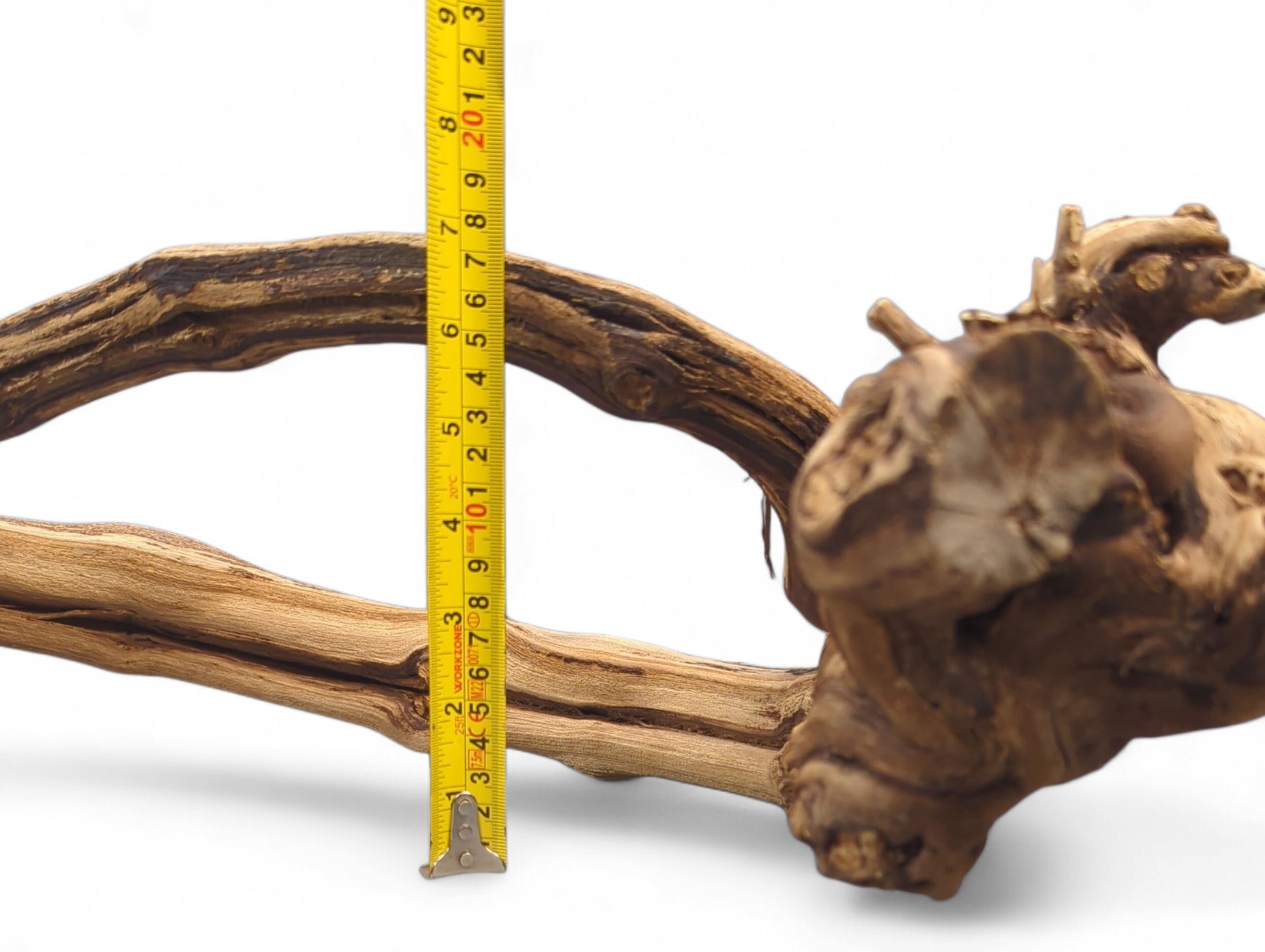 A piece of gnarled, multi-toned grapevine driftwood, displaying rough texture and measured by a yellow tape.