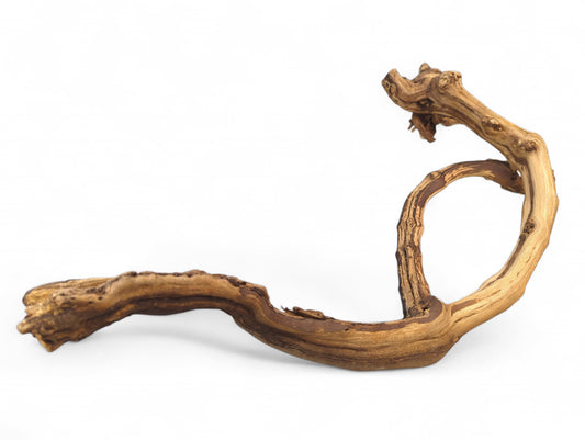 A gnarled, S-shaped grapevine driftwood branch displays varied brown and tan textures against a white background.