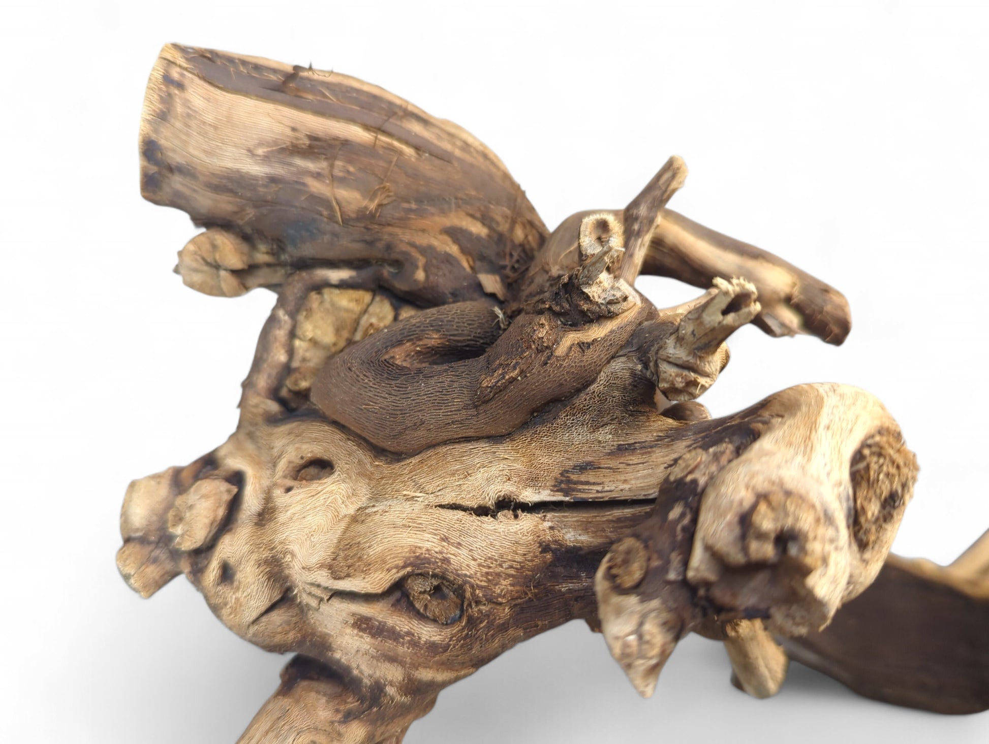 Irregularly shaped grapevine driftwood, displaying gnarled texture, knots, and varied brown and tan tones.