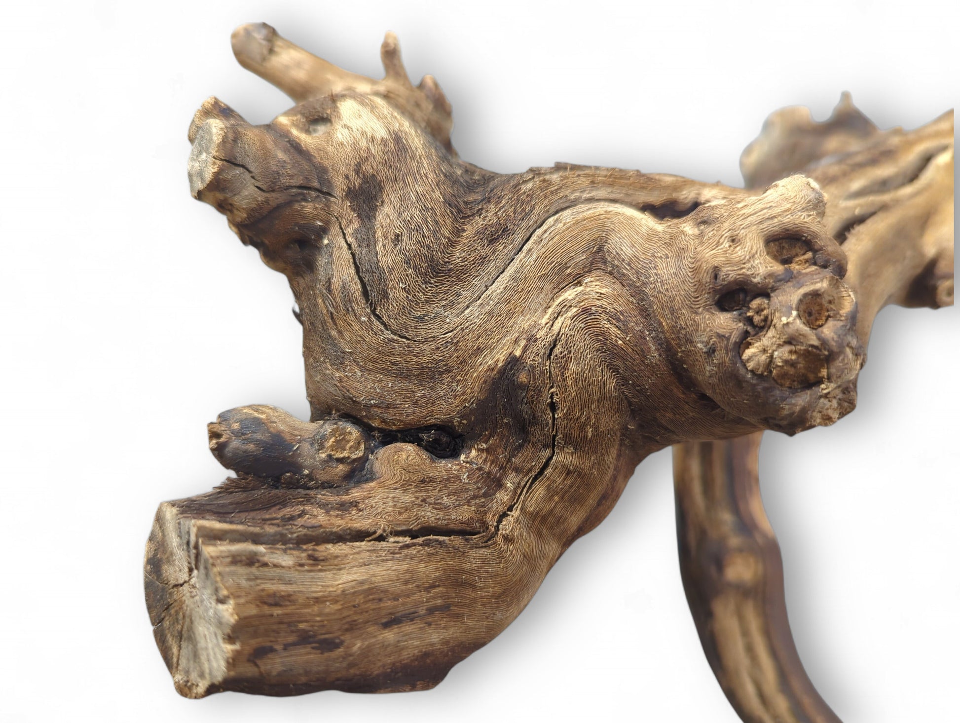 Gnarled brown and tan grapevine driftwood piece exhibits intricate swirling patterns, visible knots, and rough texture.