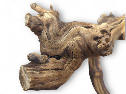 Gnarled brown and tan grapevine driftwood piece exhibits intricate swirling patterns, visible knots, and rough texture.
