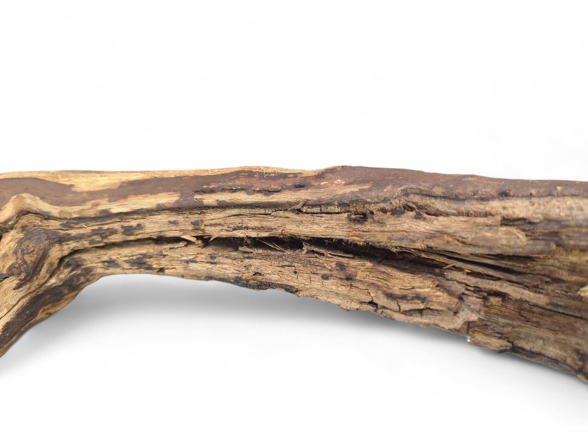 Rough, weathered driftwood piece exhibits an irregular, curved shape with varied brown and tan textures.