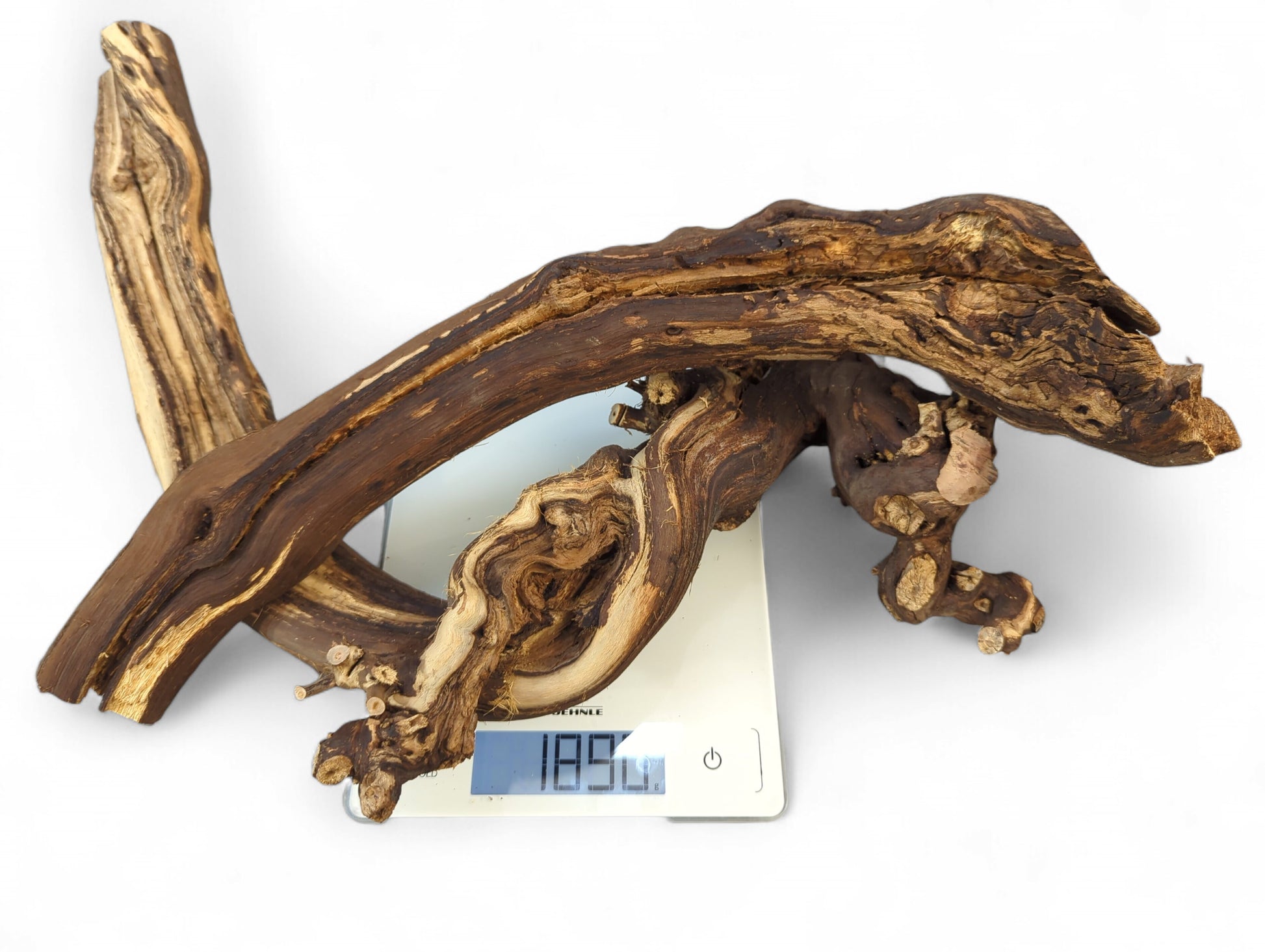 Gnarled, dark brown grapevine wood piece with tan grain, rough texture, weighing 185.0 on a digital scale.