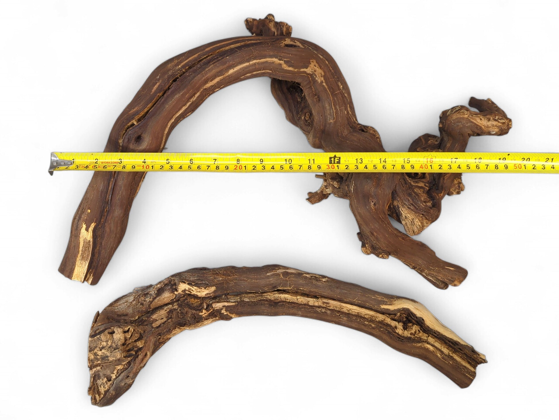 Two dark brown, gnarled grapevine driftwood pieces with tan grain and rough texture, measured by tape.