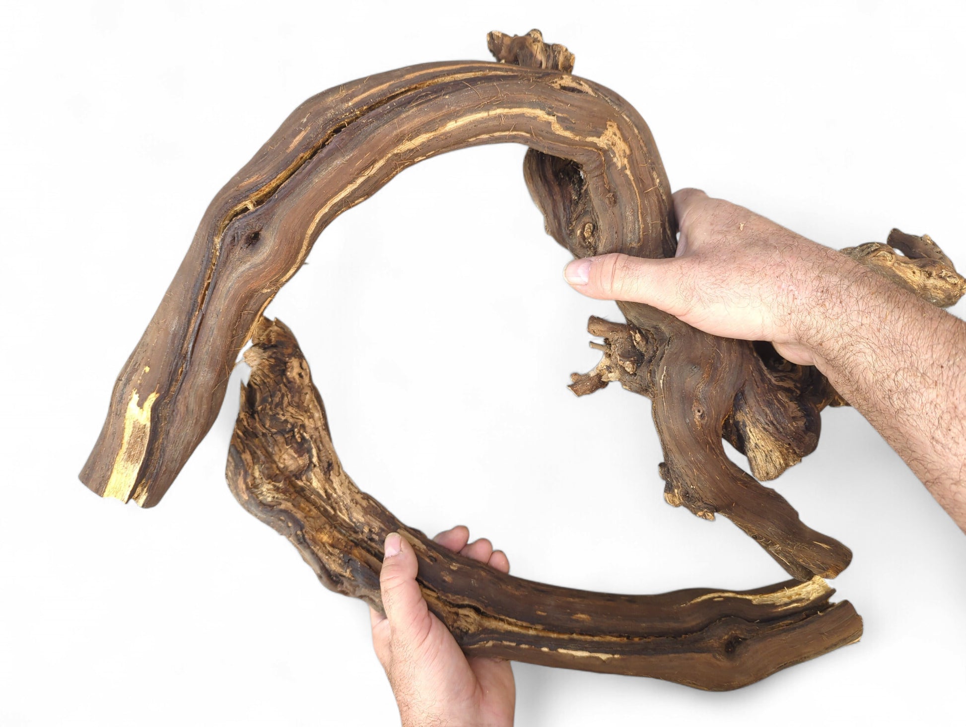 A person's hands hold two gnarled, dark brown grapevine driftwood pieces with exposed tan grain.