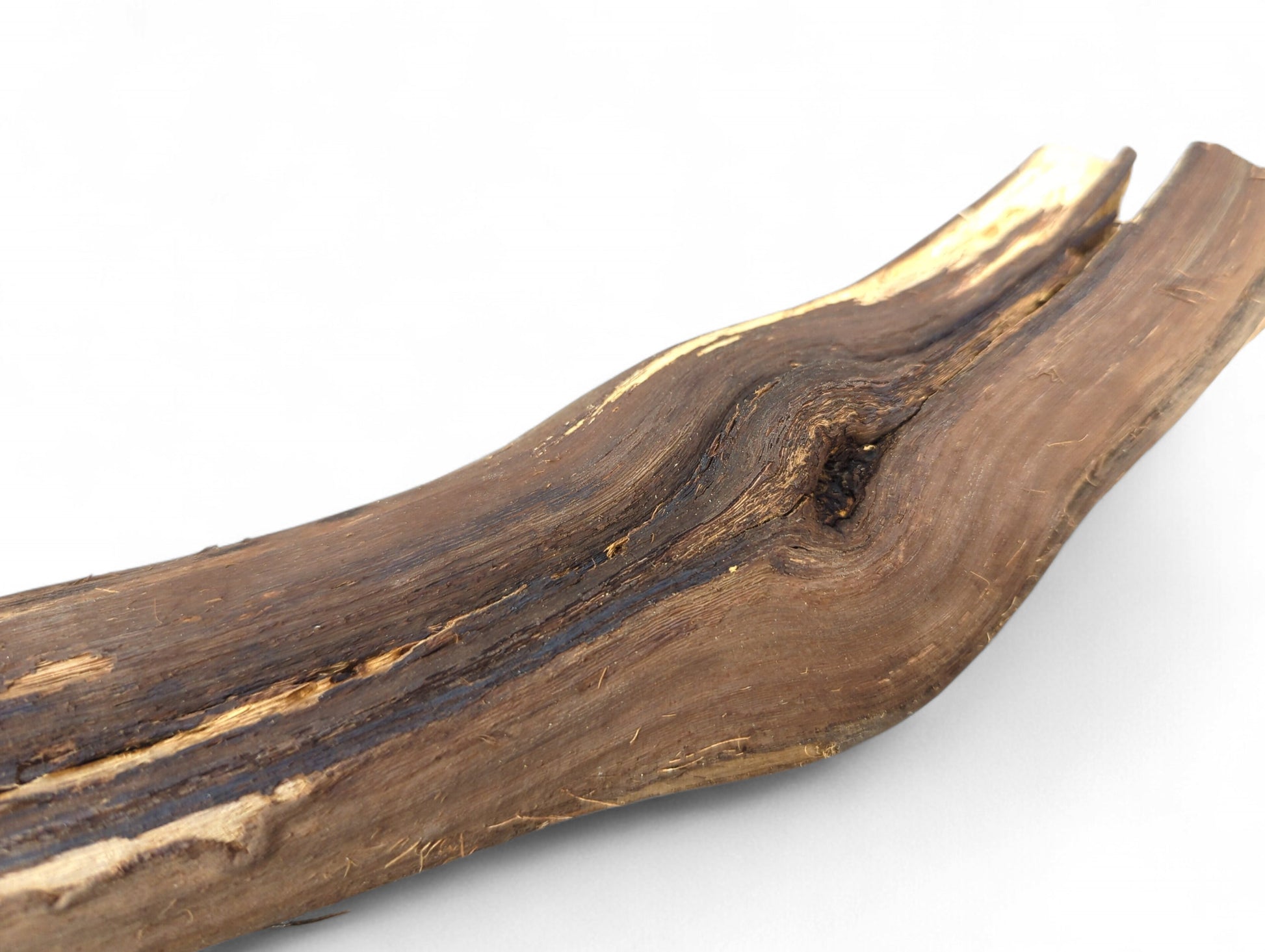 Untreated dark brown grapevine wood branch with a gnarled texture, exposed tan grain, and split end.