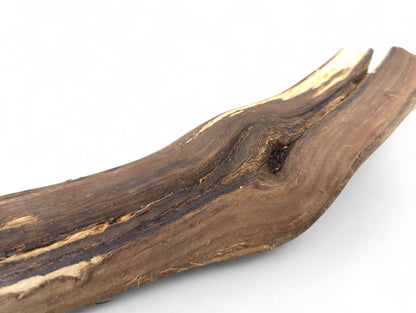 Untreated dark brown grapevine wood branch with a gnarled texture, exposed tan grain, and split end.
