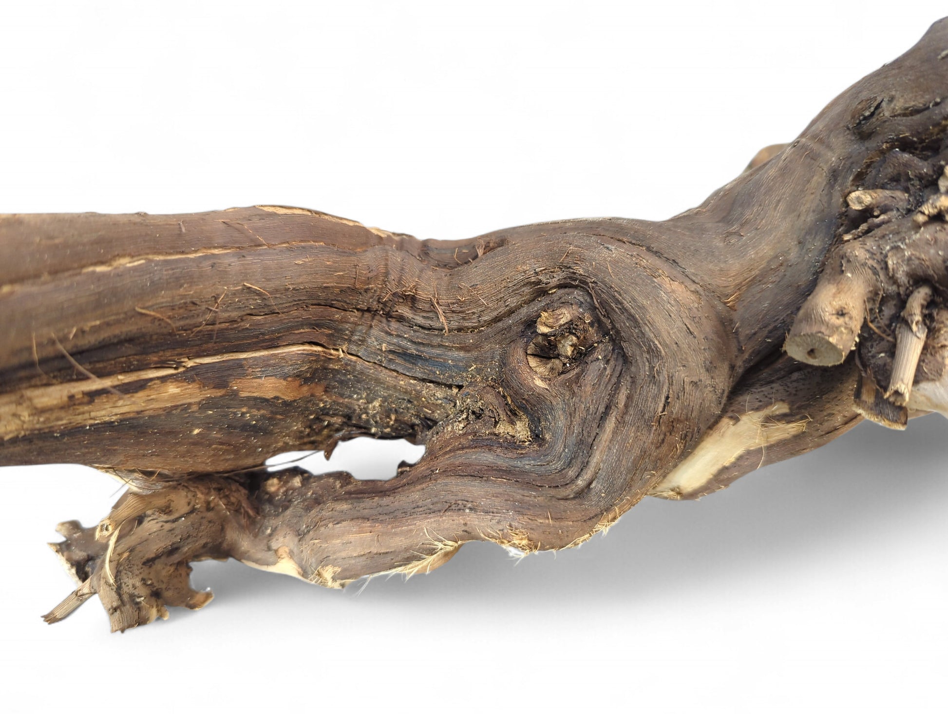 Gnarled, dark brown wood branch featuring exposed light tan grain and a rough, organic texture on white.