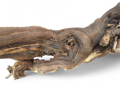 Gnarled, dark brown wood branch featuring exposed light tan grain and a rough, organic texture on white.