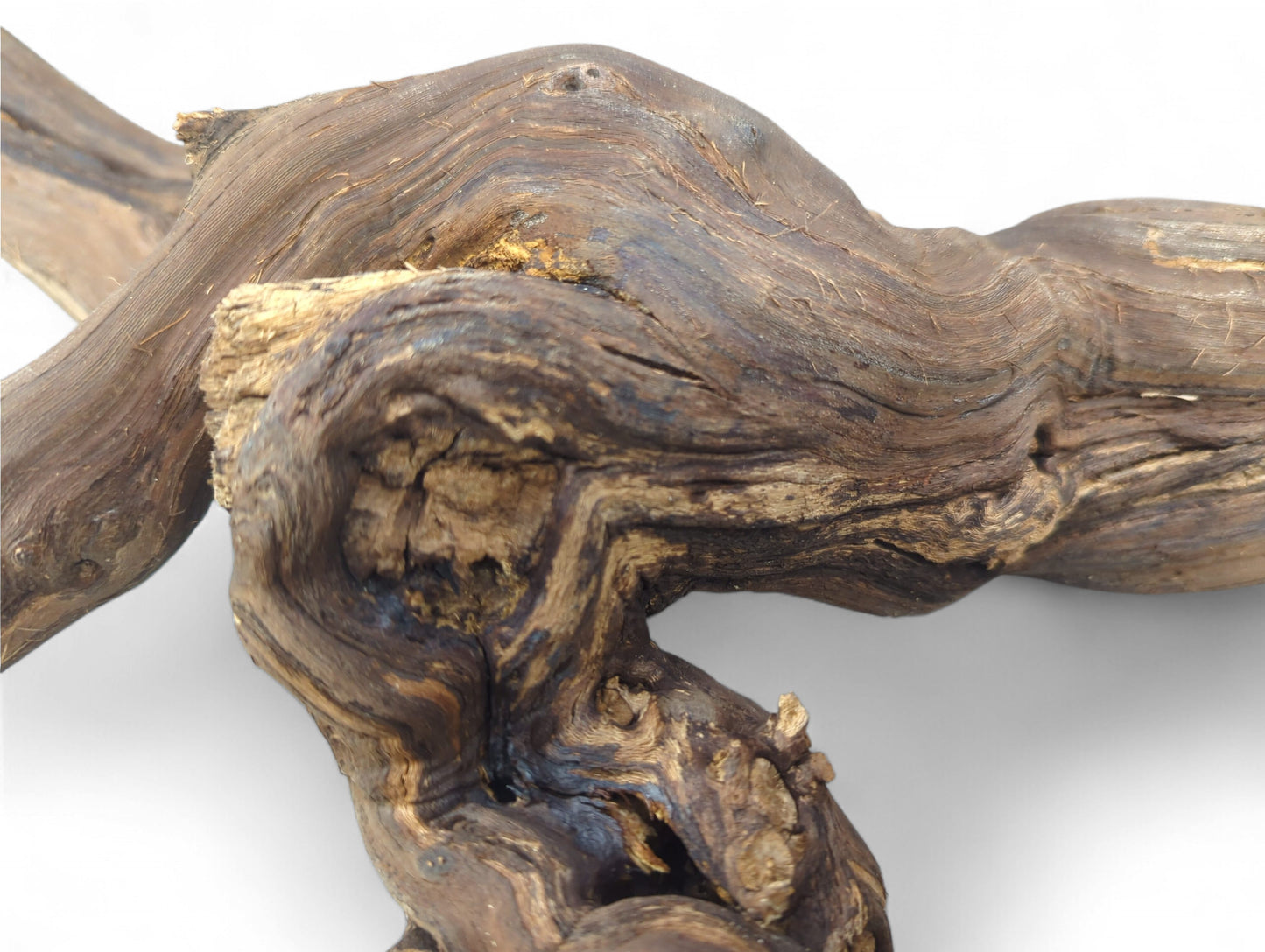 Weathered, gnarled dark brown grapevine wood branch with swirling tan grain and rough texture against white.