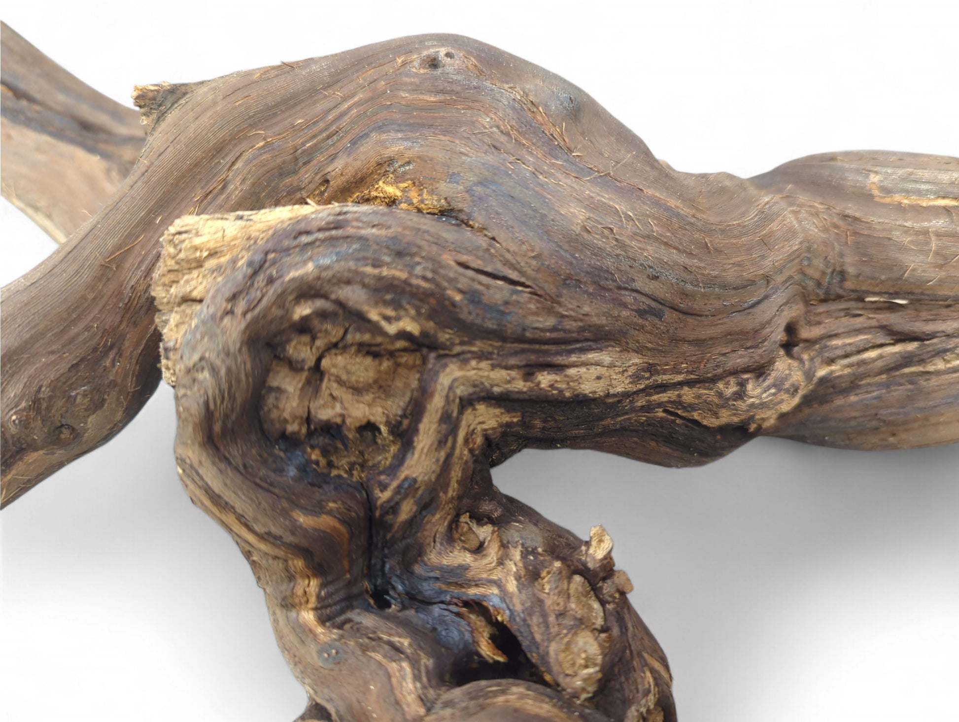 Weathered, gnarled dark brown grapevine wood branch with swirling tan grain and rough texture against white.